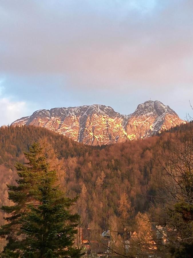 U Tylki Studio Z Widokiem Na Gory Zakopane Kültér fotó