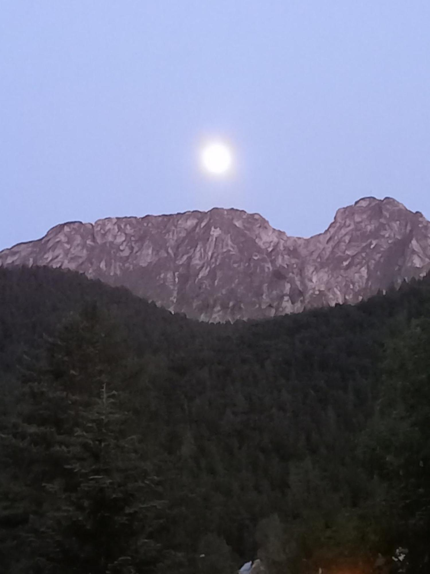 U Tylki Studio Z Widokiem Na Gory Zakopane Kültér fotó